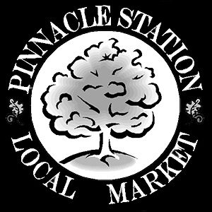 Pinnacle Station BW